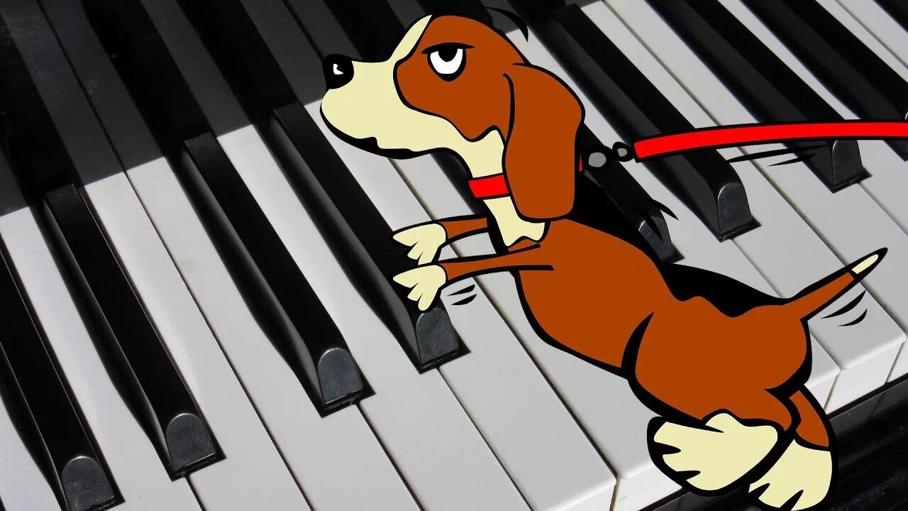 Собачий вальс картинка на пианино. Собачий вальс Шопен. Собака на рояле. Собака на пианино. Собачий вальс на фортепиано.
