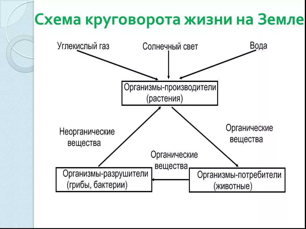 Картинки ОКРУЖАЮЩИЙ МИР 3 КЛАСС ВЕЛИКИЙ КРУГОВОРОТ