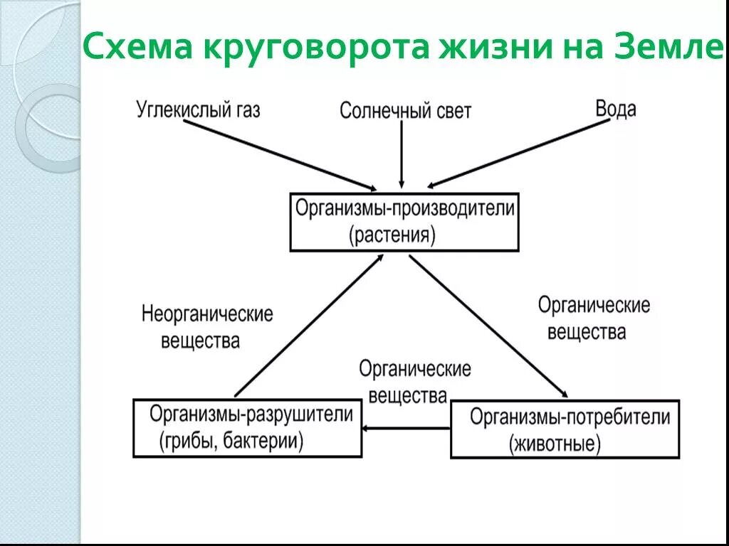 Круговорота веществ 3 класс. Схема круговорота жизни 3 класс окружающий мир. Модель Великий круговорот жизни. Схема круговорота веществ 3 класс окружающий мир. Великий круговорот веществ 3 класс окружающий мир.