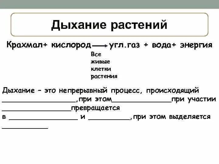 При дыхании выделяется кислород. При дыхании выделяется. при дыхании растений энергия освобождается. дыхание растений. схема растения кислород крахмал.