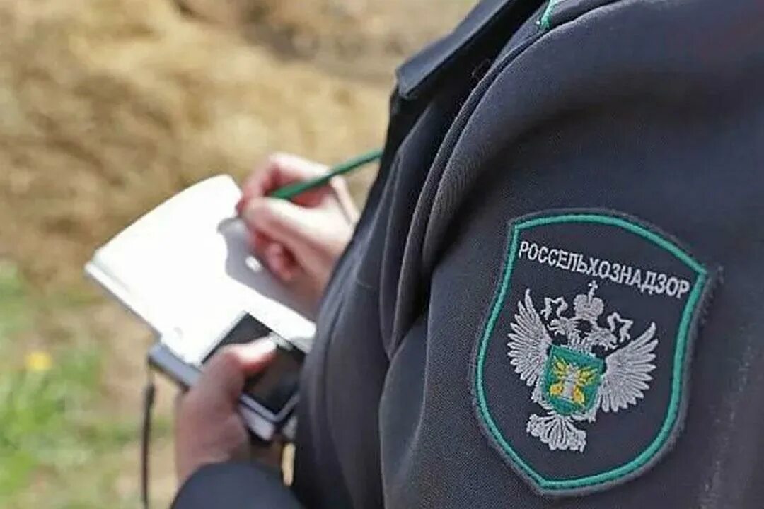 Надзор животных. Фитосанитарный надзор. профилактический визит россельхознадзор. инспектор россельхознадзора. земельный надзор россельхознадзор.