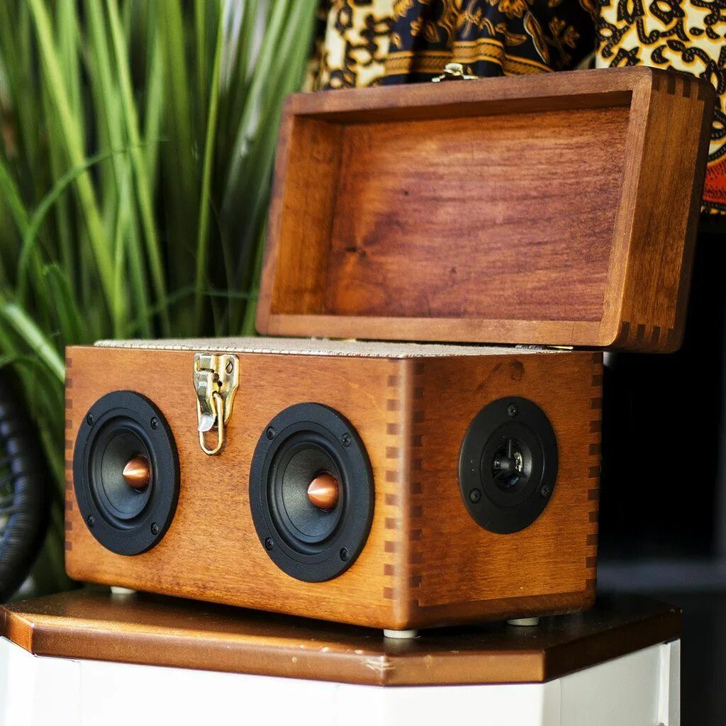 Портативная колонка своими руками. Wooden Speaker колонка. Колонки из дерева. Портативная колонка из дерева. Корпус колонки из дерева.