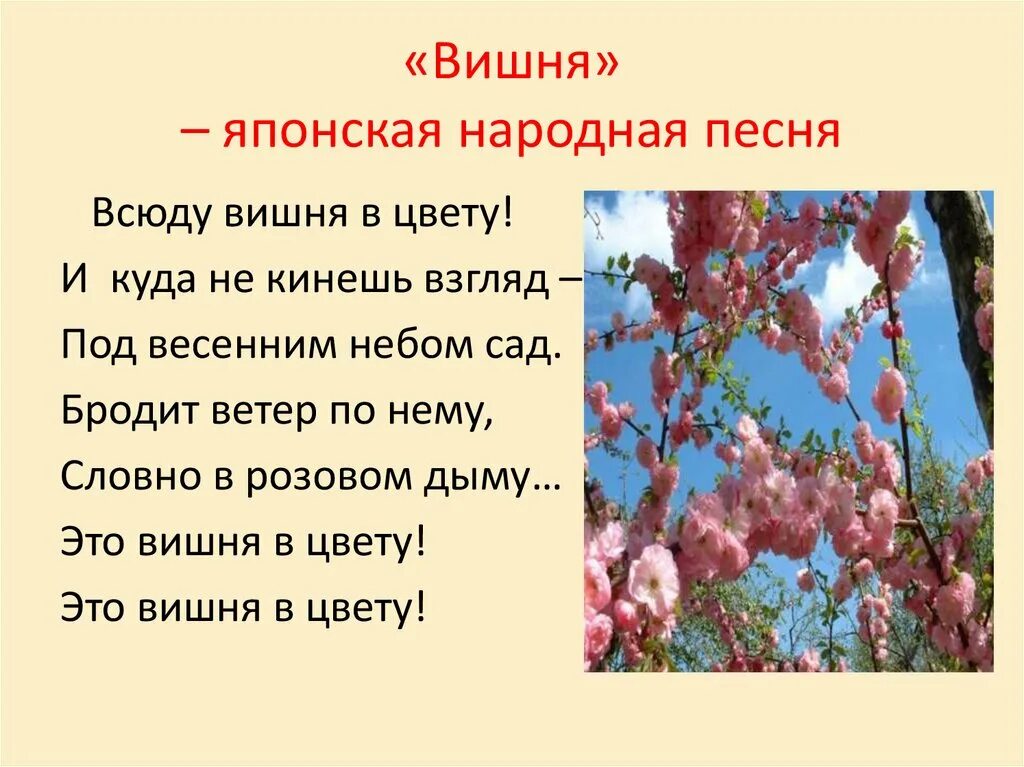 Песня вишневый ветер. Японская народная песня вишня. Песня вишня японская народная песня. Вишня японская народная песенка. Вишня текст.