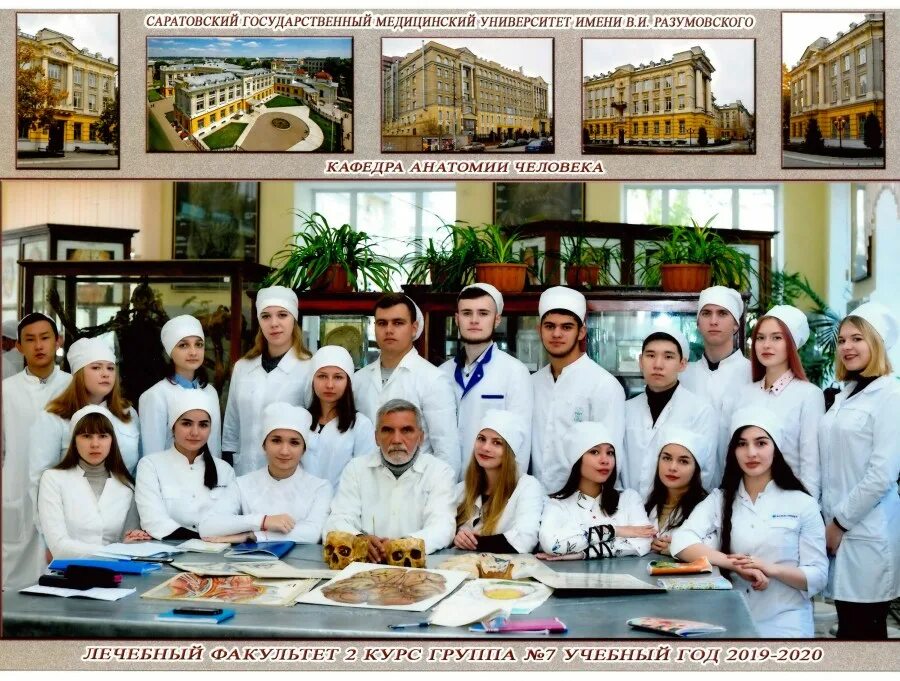 Сибирский медицинский университет. Сара гамидовна агму. Кубанский государственный медицинский университет факультеты. Лечебное дело. Медицинский лечебный факультет.