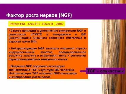 4 фактора роста