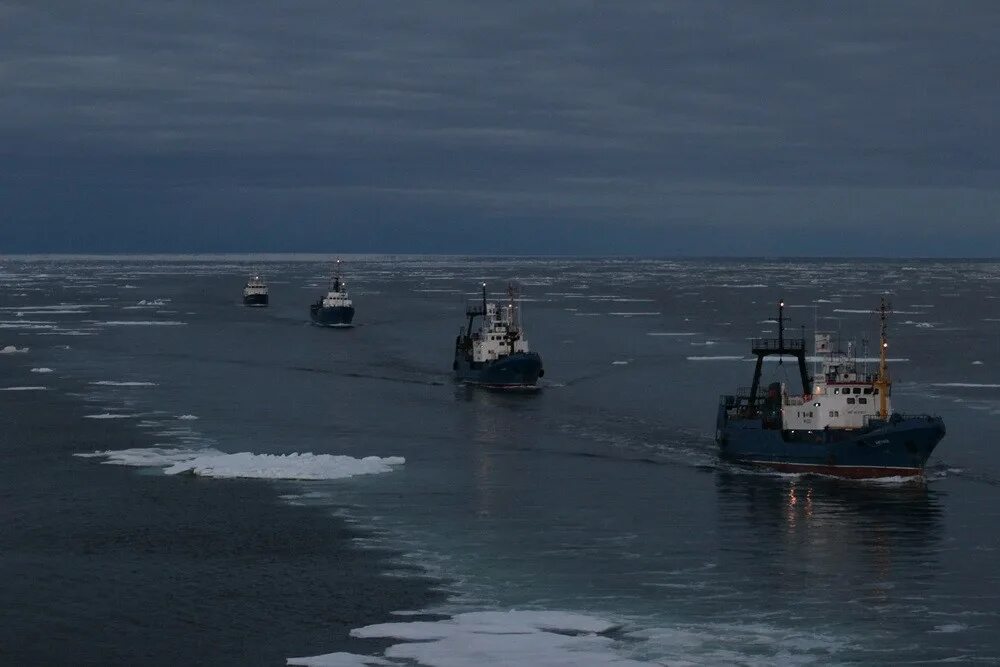 Море Лаптевых Северный морской путь. Караван судов в Северном Ледовитом океане. Морской порт море Лаптевых. Караван судов в Арктике. Караван судов