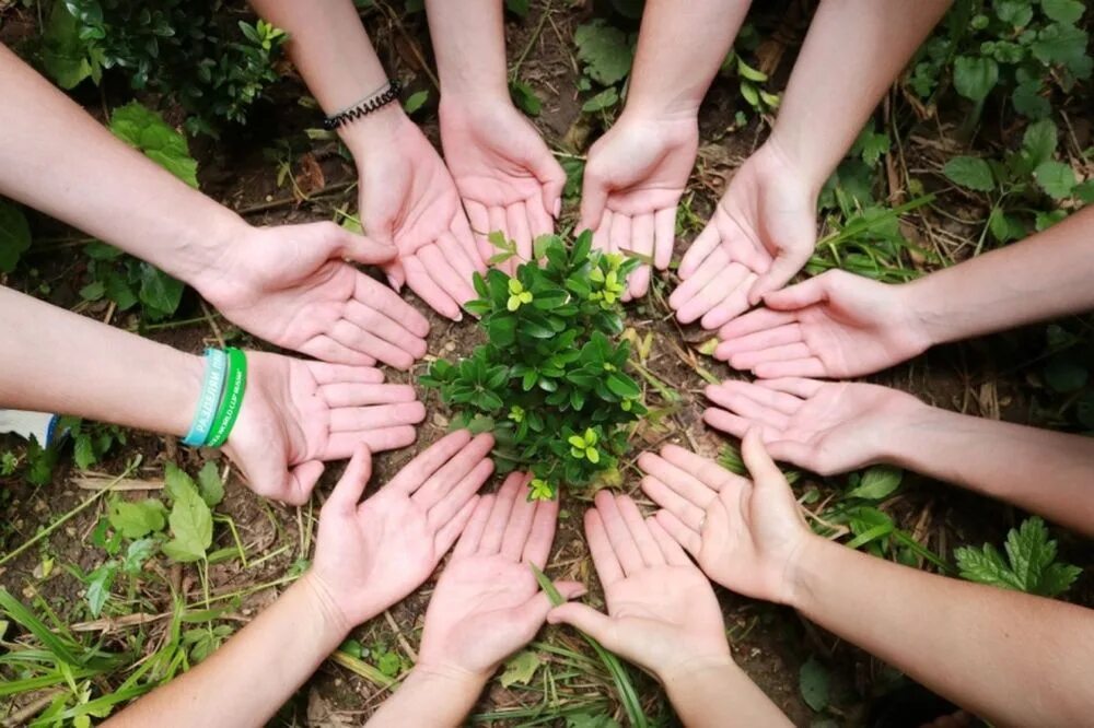 Проблемы экологии волонтерское экологическое движение. Экологические волонтеры. Экологическое волонтёрство. Экологические объединения. Волонтерство экология.