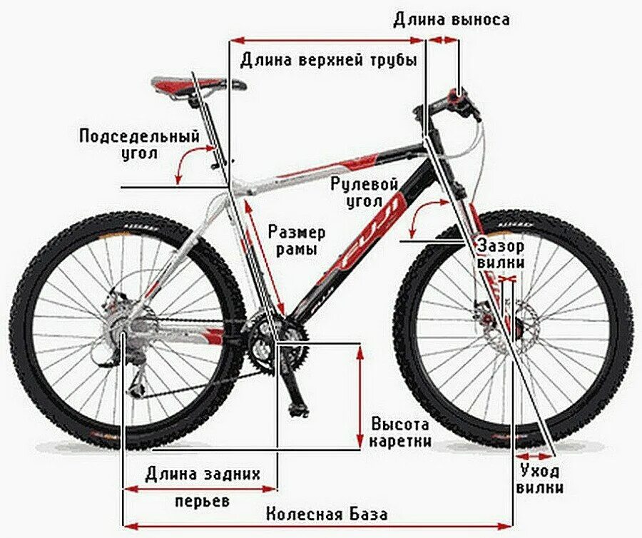Какие должны быть колеса на велосипеде. Размер рамы 27,5. 19.5 Размер рамы велосипеда. Диаметр 26 колеса велосипеда. Как выбрать правильный размер рамы велосипеда.
