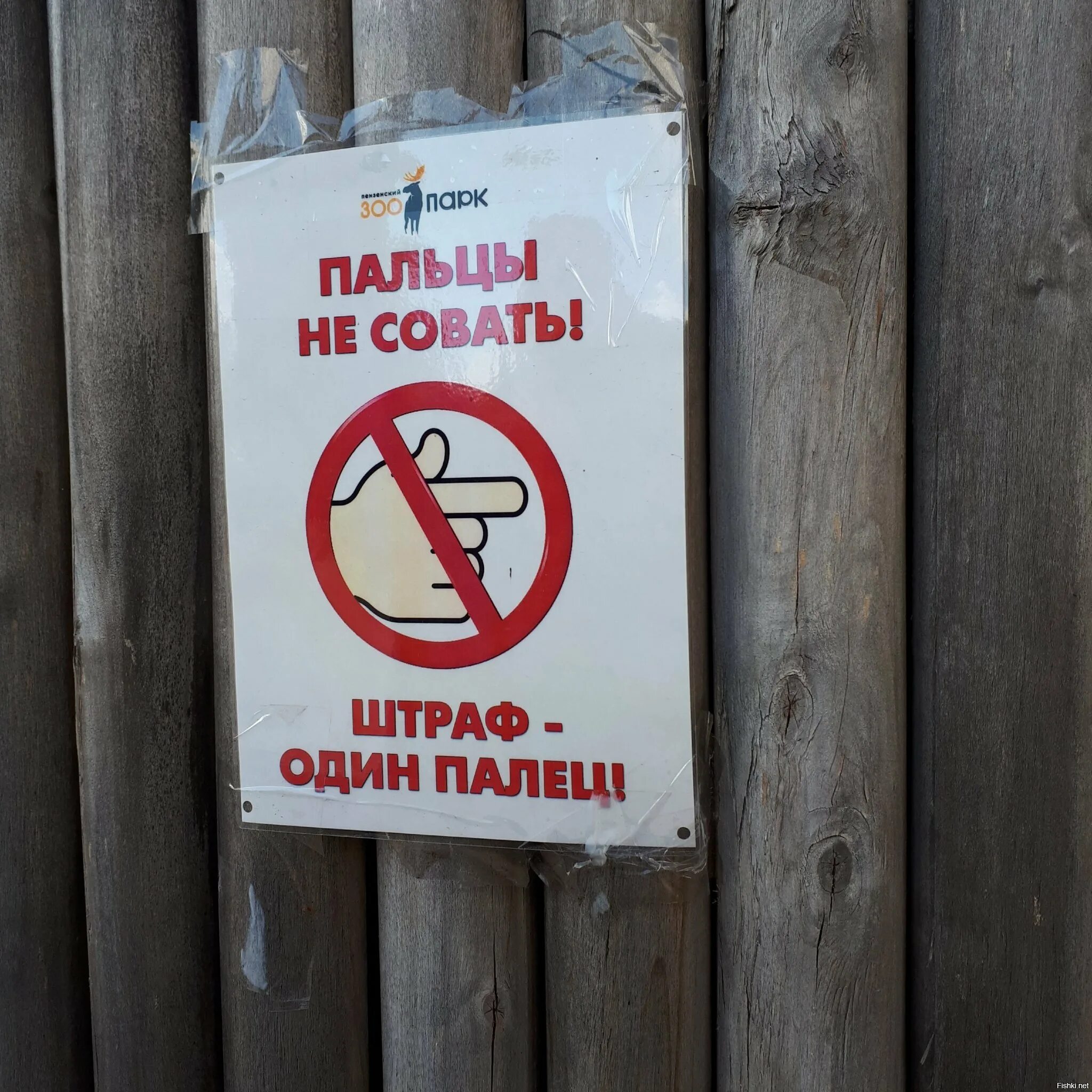 Штраф за кормление животных