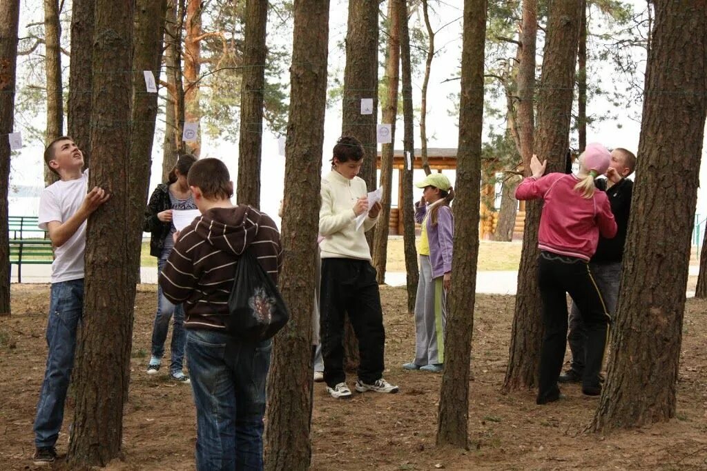 Квест на природе для детей. Тимбилдинг для детей. Детский квест на природе.для детей. Квест на природе для компании взрослых. Квест игра для семьи