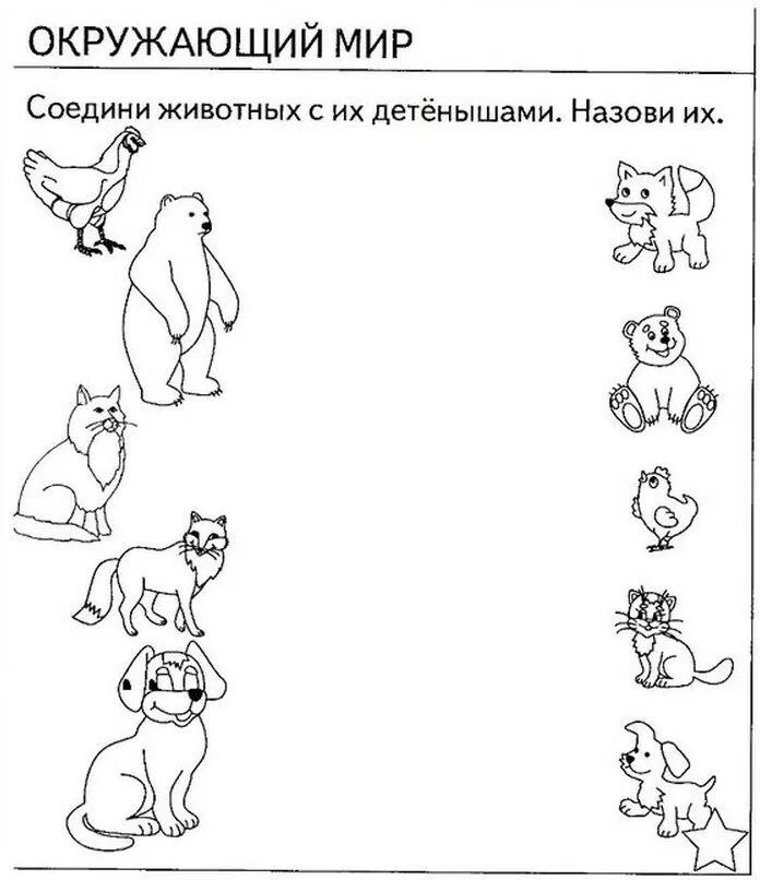 Тест для детей окружающий мир. Задания по окружающему миру для дошкольников. Задания для детей 6-7 лет для подготовки к школе. Задания по окружающему миру для дошкольников. Тест для детей окружающий мир.