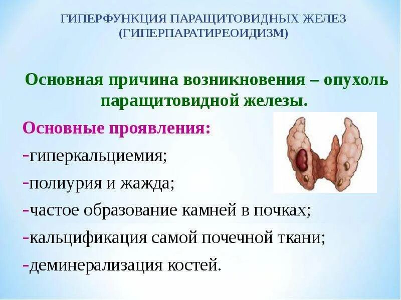 Патогенез нарушений функций паращитовидных желез. Паращитовидная гипофункция и гиперфункция. Паращитовидная железа гормоны гиперфункция и гипофункция. Гипофункция паращитовидной железы. Паращитовидная железа гипофункция и гиперфункция.
