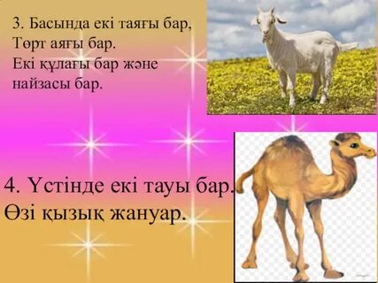 Винкс секс видео