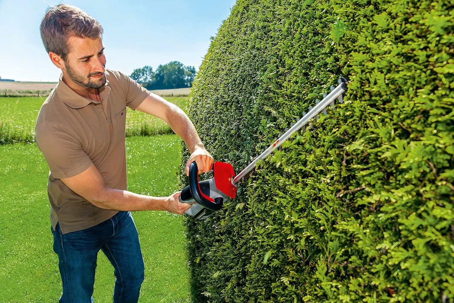Секатор pruning shears - купить по выгодным ценам в интернет-магазине OZON