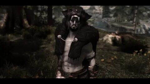 Skyrim skin