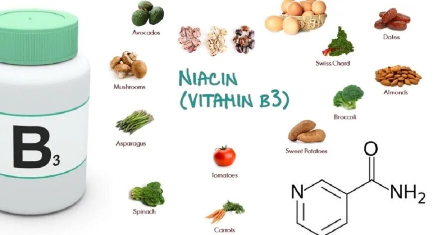 Продукты с витамином в 3. Витамин б3 ниацин. Ниацин витамин в3. Действие витамина б3. Норма витамина в3.
