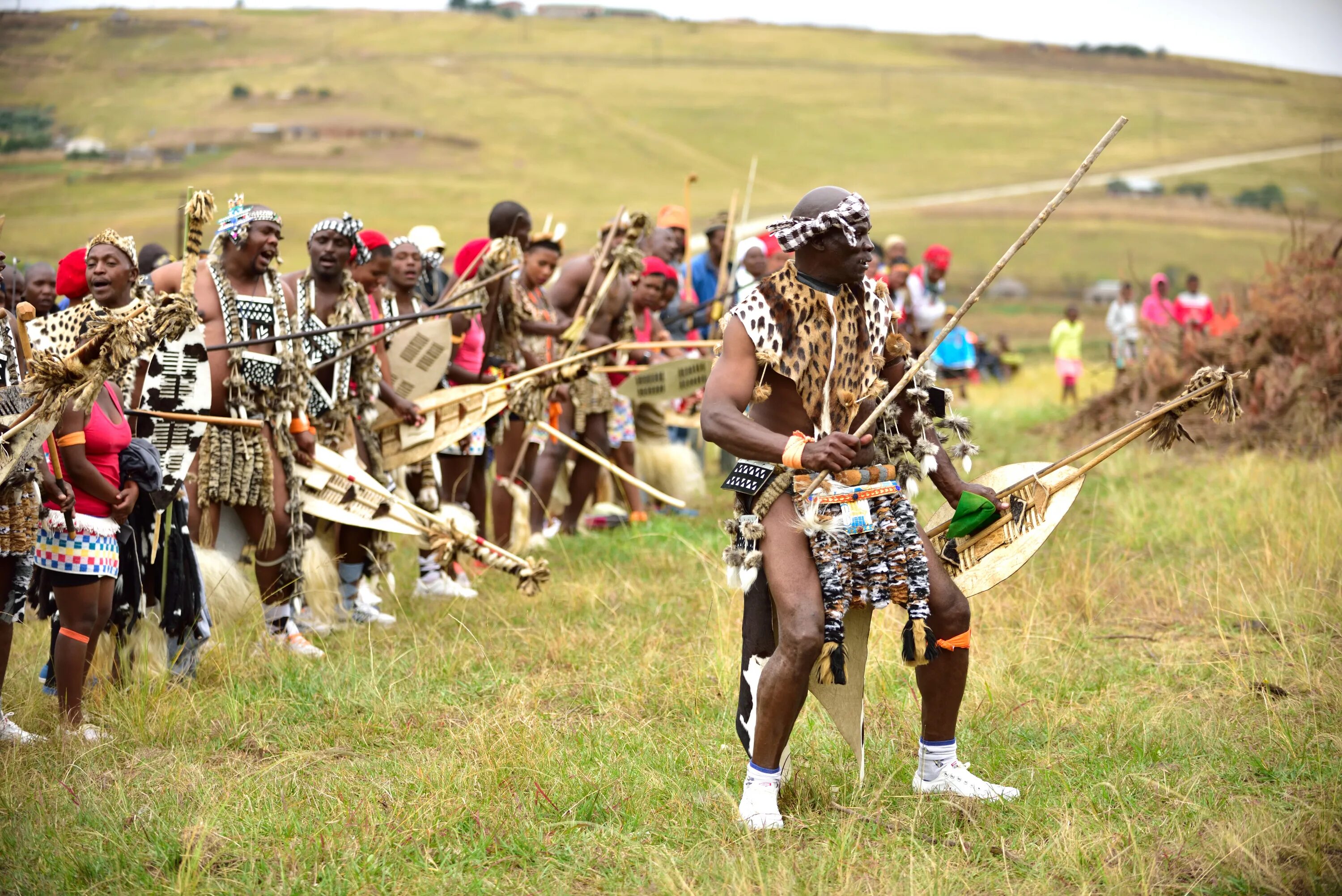 Zulu tribe. ЮАР Зулусы. Зулусы народ Африки. Племя Зулу в Африке. Племя зулусов в Африке.