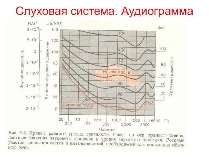 Расшифровка аудиометрии слуха норма. Аудиограмма слуха норма график. Аудиометрия слуха норма таблица. График аудиометрии при нормальном слухе. Аудиограмма норма