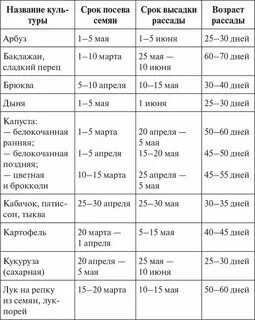 Сколько дней всходят баклажаны после посева