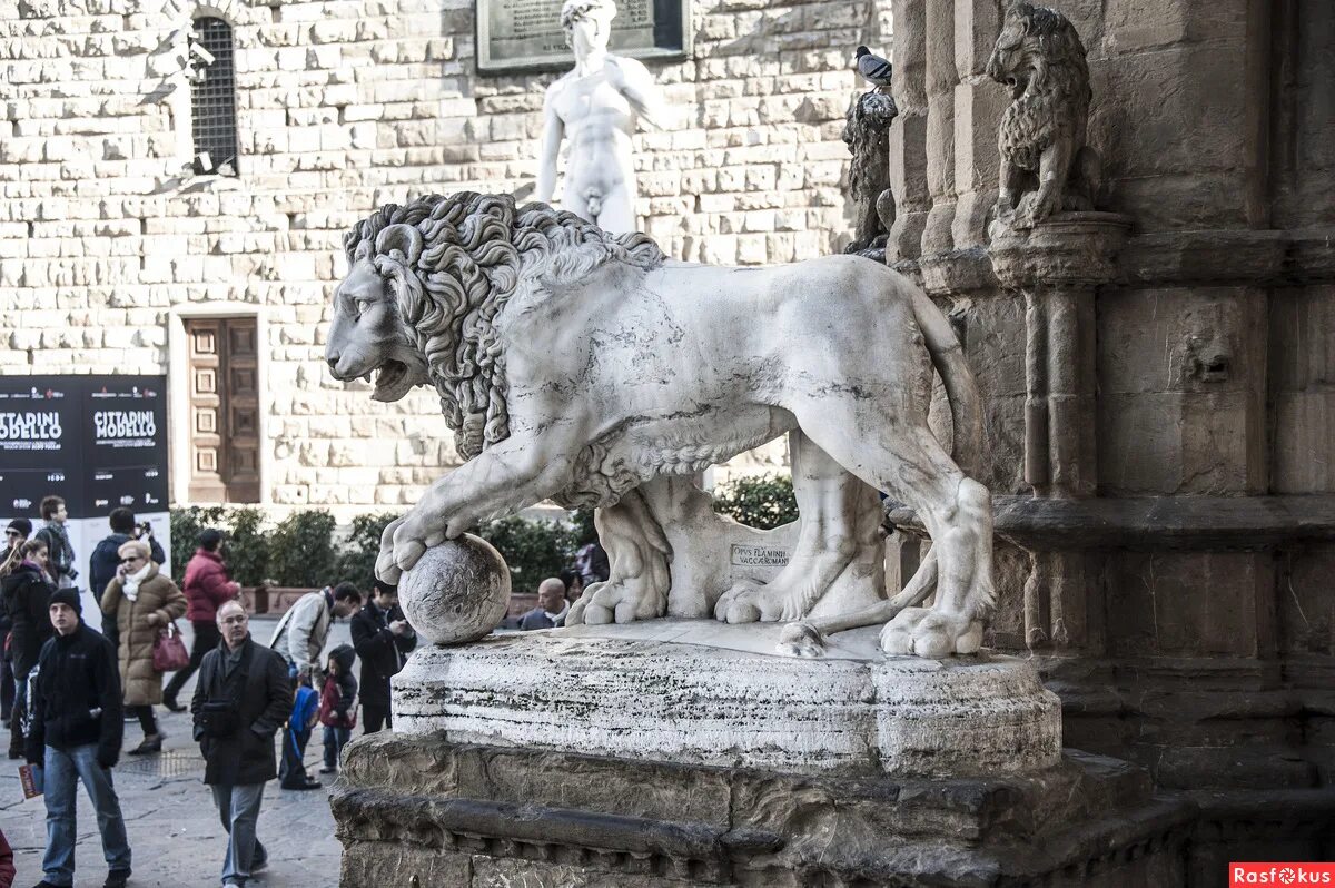 львы медичи флоренция. скульптура льва на площади синьории во флоренции скульптор. львы медичи. лев скульптура будапешт дворец. львы медичи флоренция.