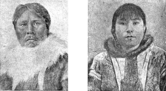 инуиты — канадские эскимосы. северный тип человека. северный тип человека. ненцы эскимосы алеуты. чукчи эскимосы коряки.