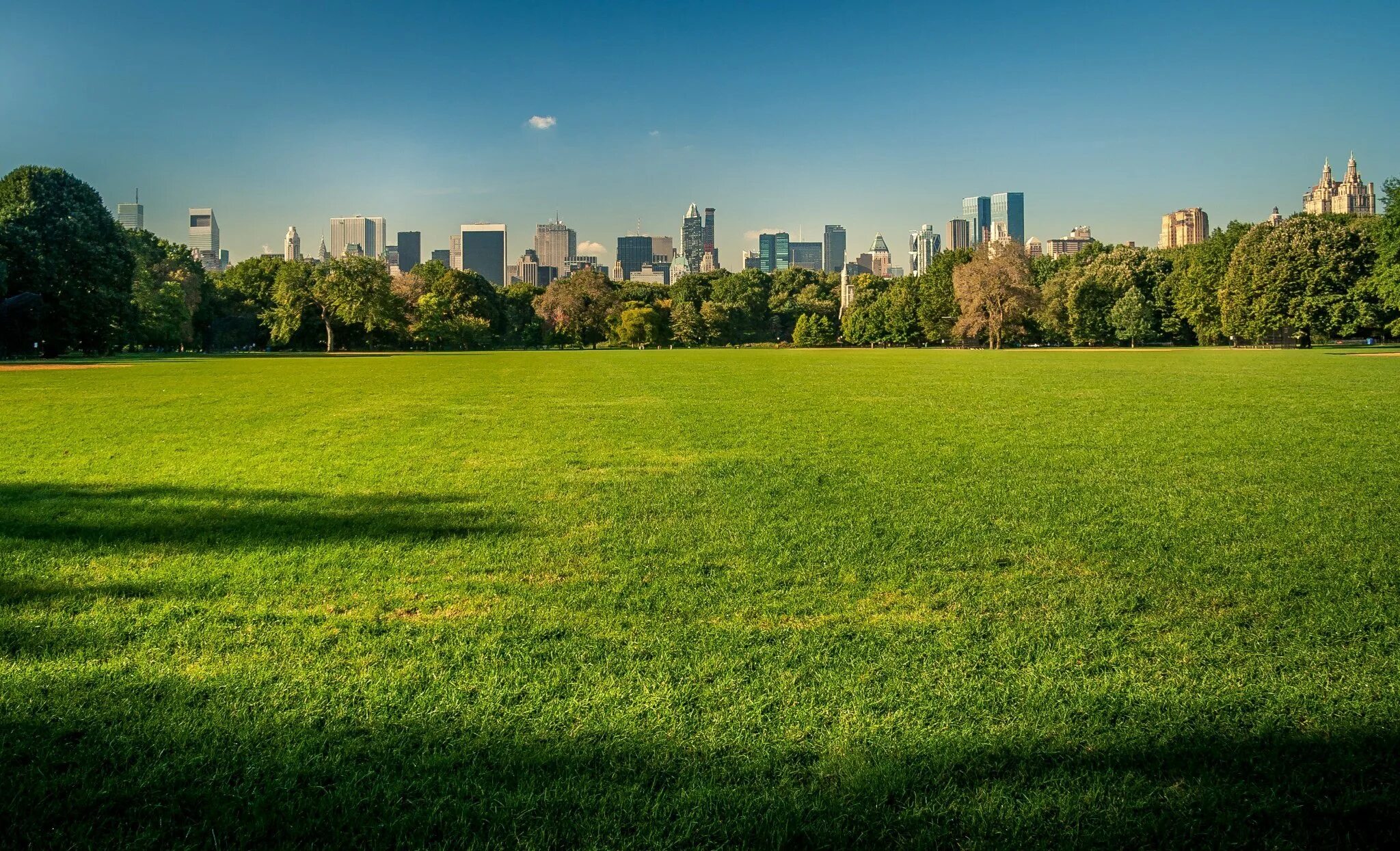 Background park
