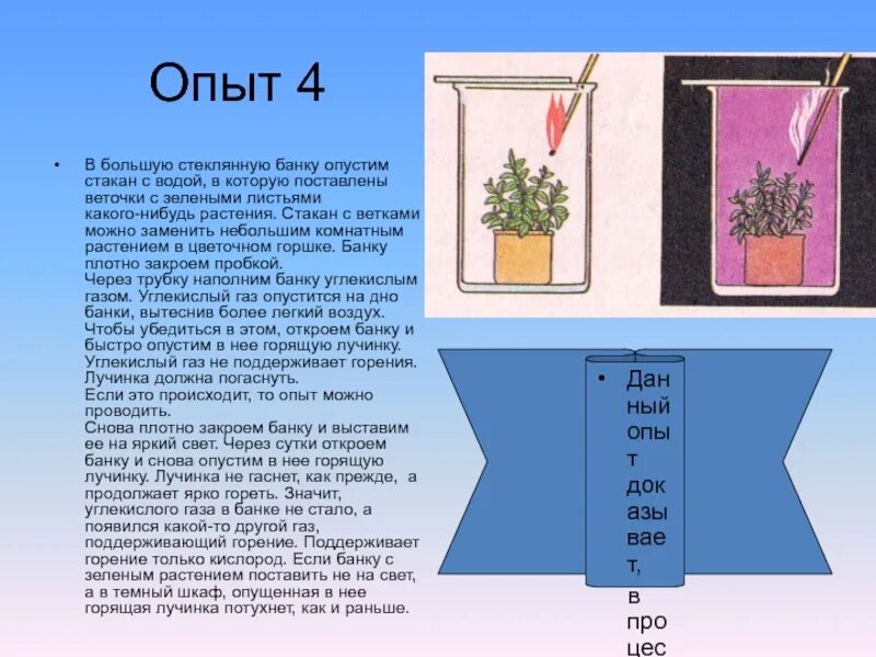 Опускать плотно. Опыты с растениями. Опыты по биологии с растениями. Эксперименты с растениями по биологии. Опыты с комнатными цветами.