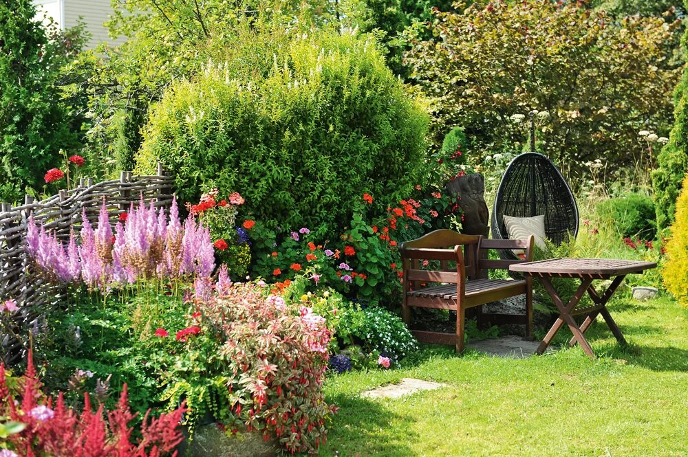 Мой сад. Сад Марины Селиверстовой. Красивые уголки сада. Красивые уголки на даче. Цветочный уголок в саду.