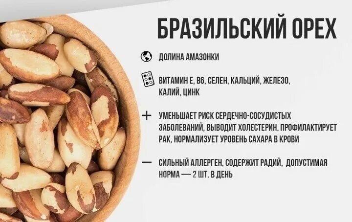 Бразильский орех: полезные свойства и противопоказания, советы