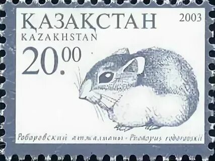 Карты хомяк 27.07