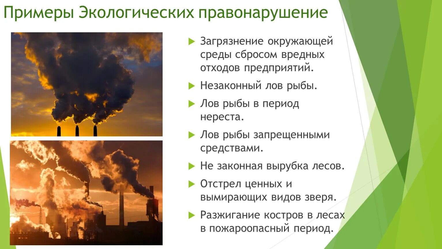 Нужна ли экология. Экологические правонарушения примеры. Экологическое право примеры.