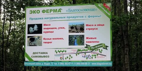Орловское полесье билеты