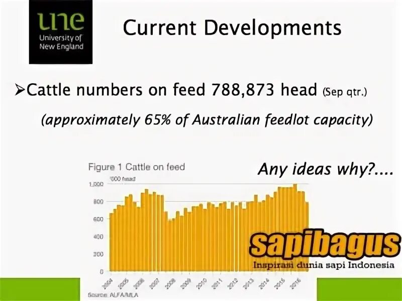Current development. Current development. Spider glass facade. Current development. Current development.