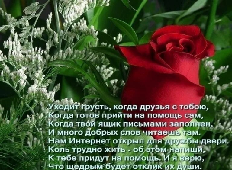Красивые слова женщине в стихах просто так