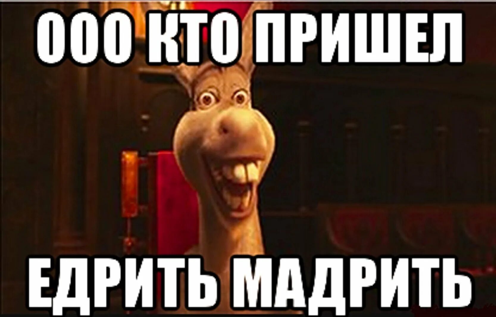 С приездом домой