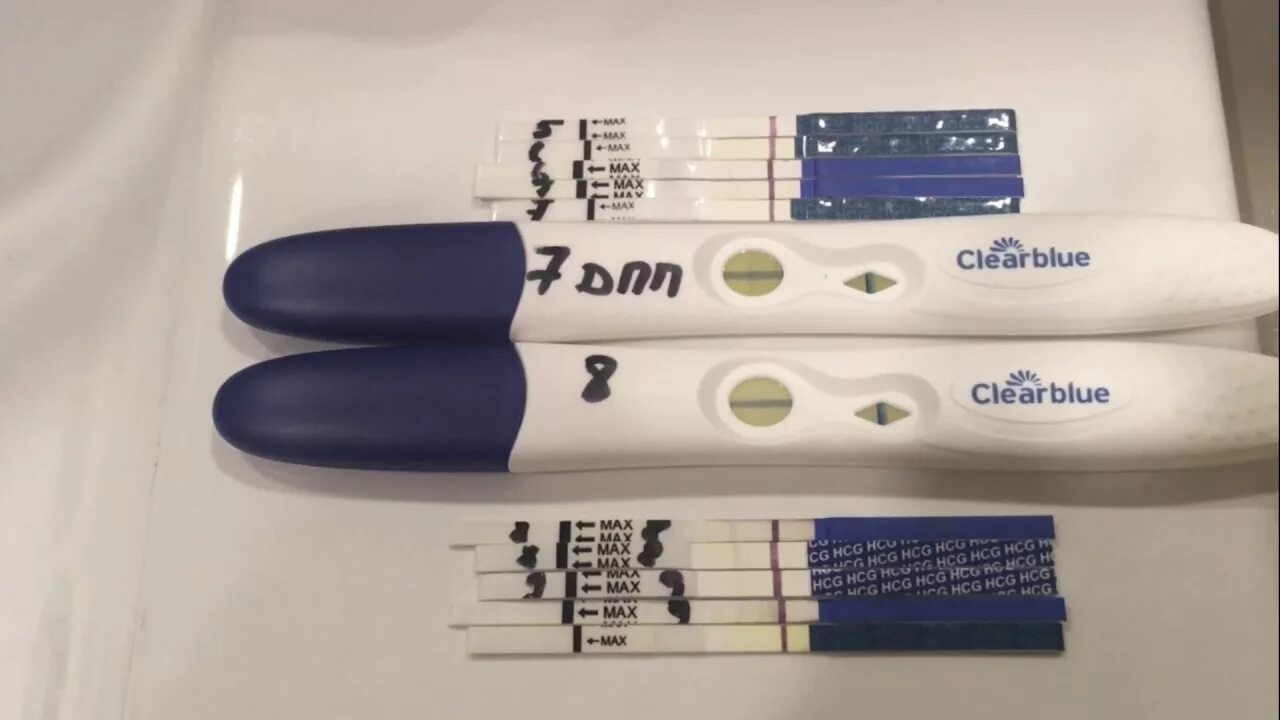 Тест на беременность 5 дневки. Тест Clearblue на 5дпп. Clearblue тест на беременность за 5 дней. Эко тест на беременность 10дпп. Тесты не беременность после эко.