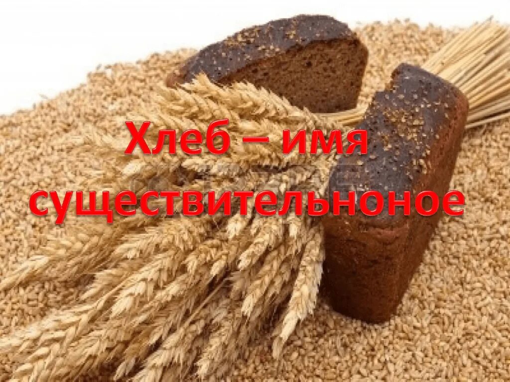 Хлеб в закромах. Рожь черный хлеб. солодовая хлебная с колоском. ржаной хлеб и колос ржи. зерна хлеба в закромах.