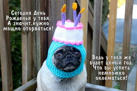 Приколы про день рождения картинки