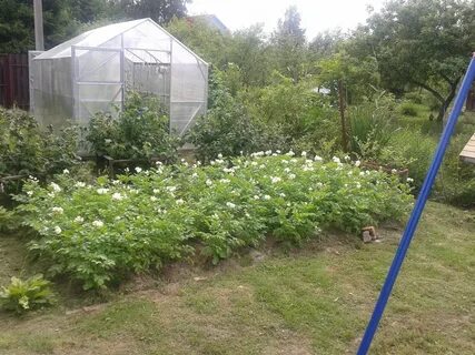 Красногорские покосы снт