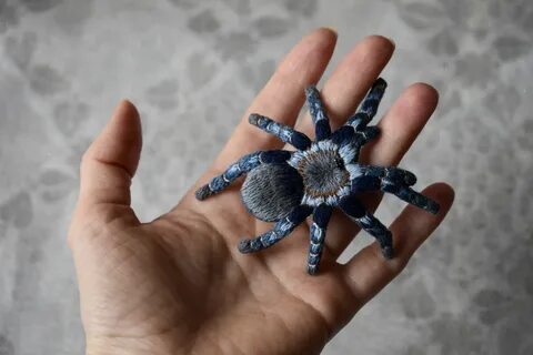 Паук сложный коврик и другие