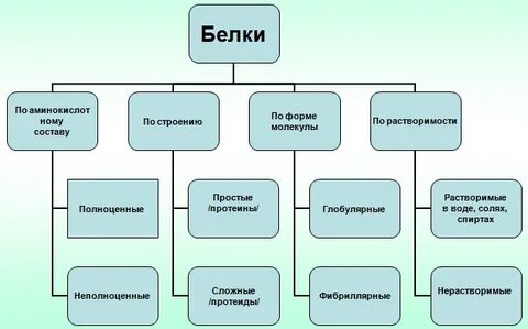 Классы белка