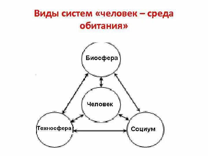 Система человек среда обитания. Система человек среда обитания и основы взаимодействия. Компоненты системы человек среда обитания. Схема взаимодействия человека со средой обитания.