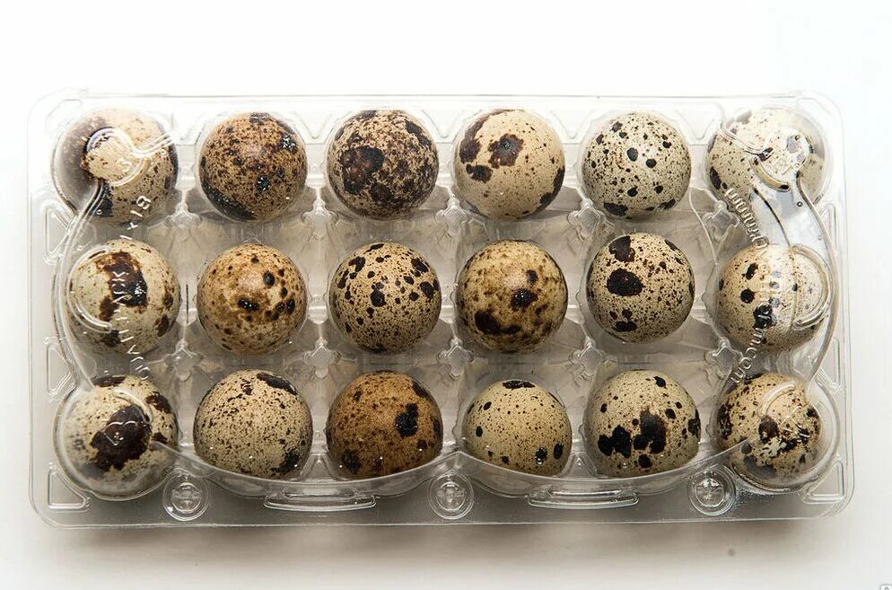 Как проверить свежесть перепелиных яиц. Яйцо перепелиное 18шт. Упаковка для перепелиных яиц. Коробка для перепелиных яиц. Контейнер для перепелиных яиц.