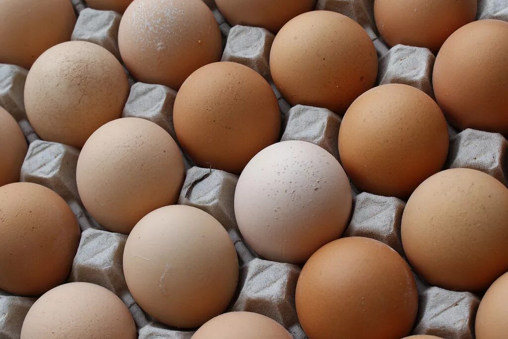 Яйцо. Яйцо куриное. Яйца фото. Крупные куриные яйца. All eggs in sols rng
