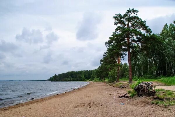 Озеро синара челябинская. Озеро Синара. Синара озеро Челябинская. Пляж озеро Синара. Озеро Синара Снежинск.