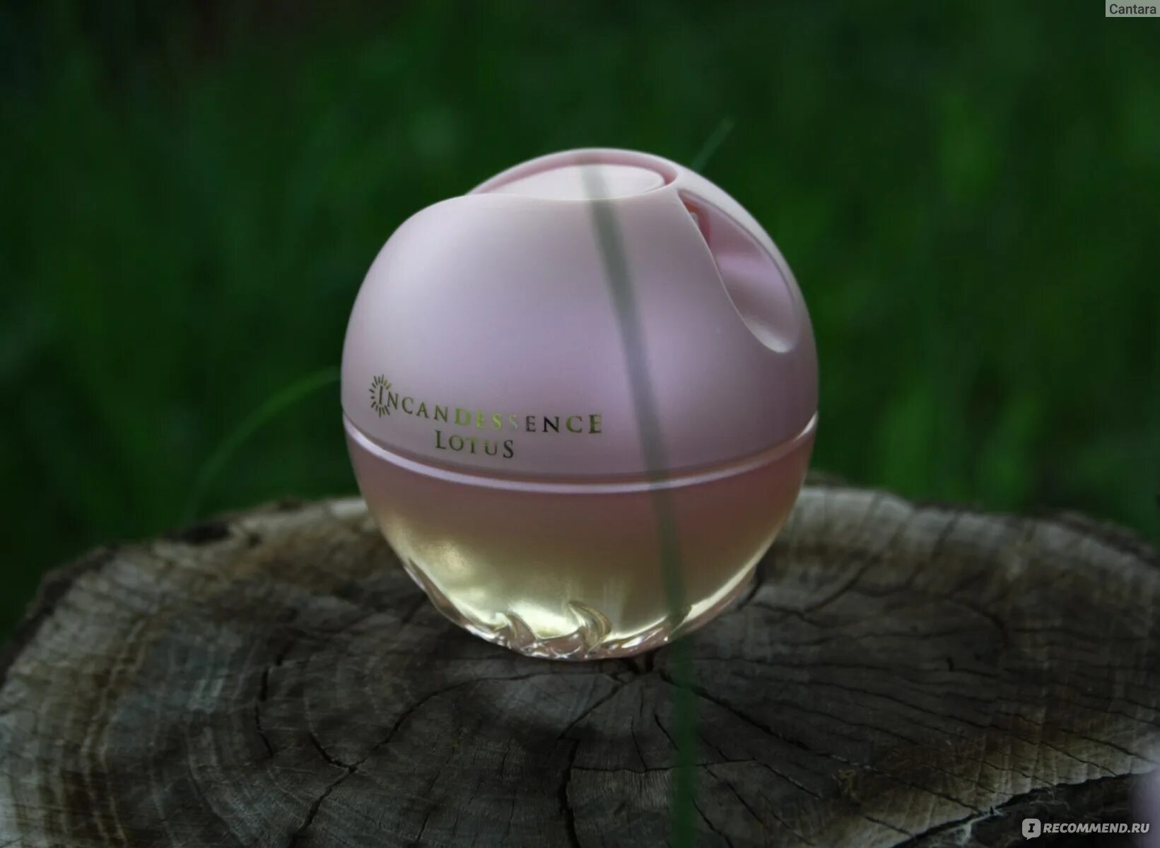 Вода avon incandessence. Парфюмерная вода Incandessence Lotus. Avon Incandessence Lotus. Incandessence Lotus духи Avon. Avon парфюмерная вода Incandessence enjoy.