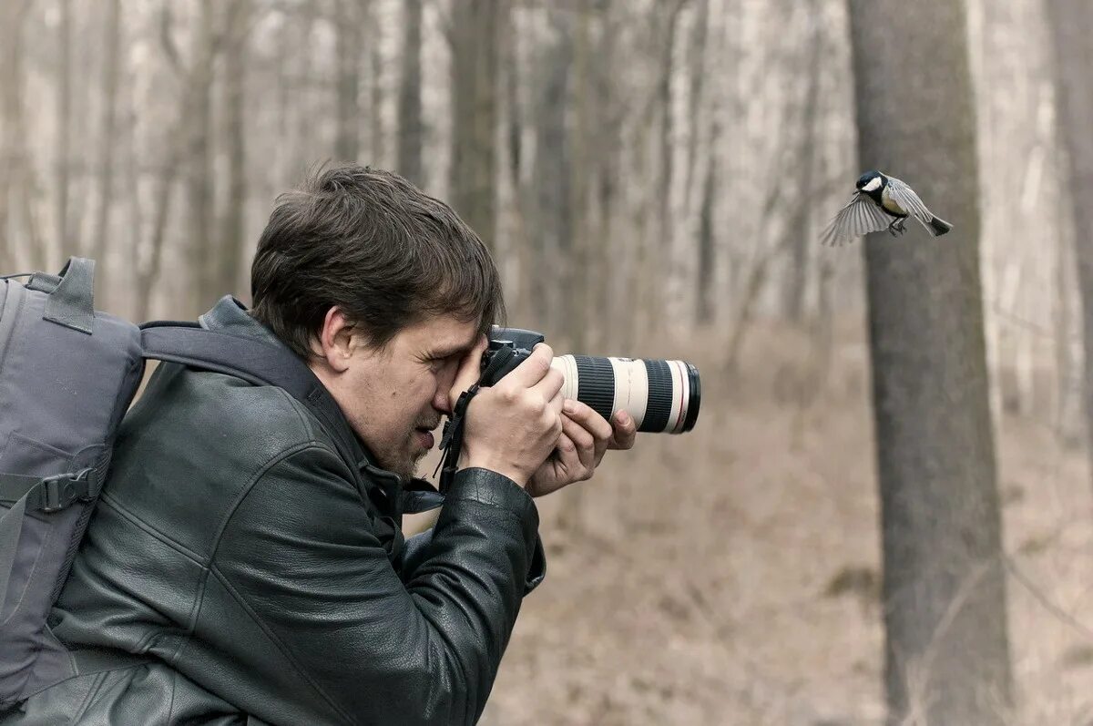 прикладной геодезист. фотограф колледж. 54. колледжи фотосъемки. техника и искусство фотографии.