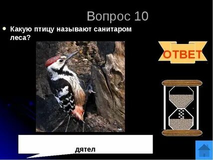 Кто санитар леса
