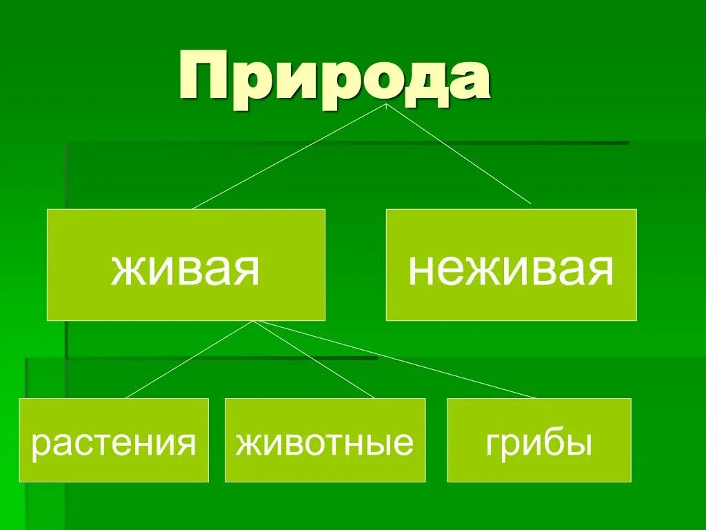 К неживой природе относят. Живая неживая растения … Животные … … …. Растения это неживая природа. Грибы это Живая или неживая природа. Пень это Живая или неживая природа.