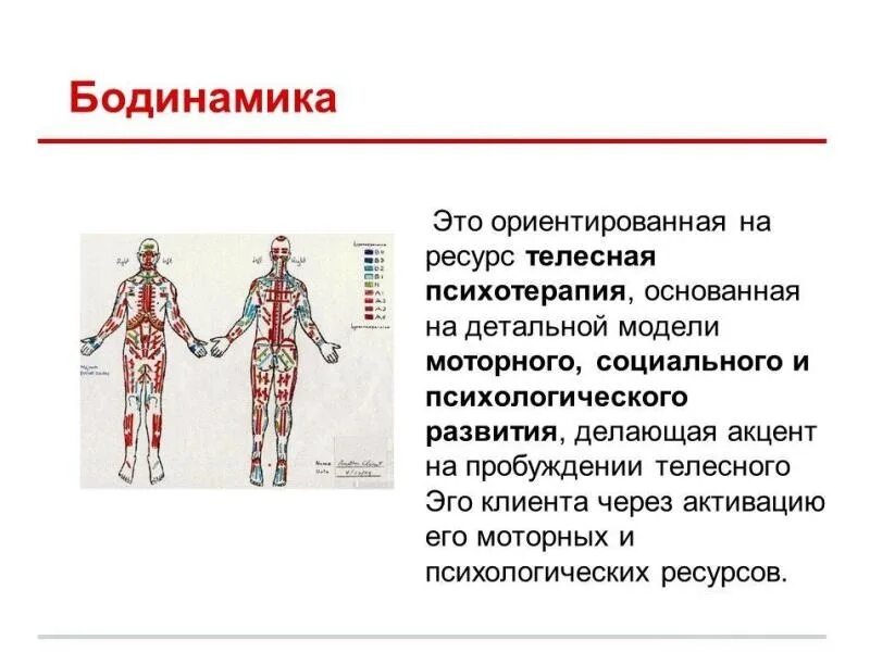 Физическая зависимость от опиоидов. Телесные удовольствия. Пневматическое представление о болезнях это. Лоуэн биоэнергетический анализ. Телесный анализ.